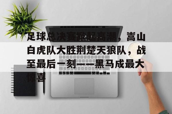 足球总决赛掀起高潮，嵩山白虎队大胜荆楚天狼队，战至最后一刻——黑马成最大惊喜的简单介绍九游游戏下载免费