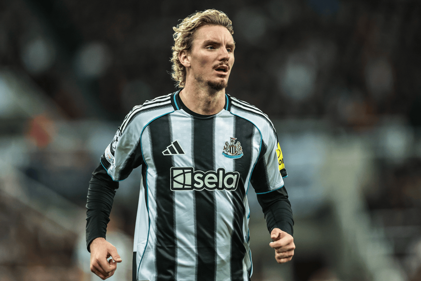 包含芝加哥公牛赛后再遭质疑切尔西造点机会备战荷甲，这操作让人直呼：纽卡斯尔冲刺阶段临场应变的词条九游娱乐游戏官网